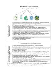 Chemija žmogaus gyvenime. Buityje naudojami valikliai, jų sudėtis, poveikis žmogui 11 puslapis