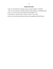 Chemija žmogaus gyvenime. Buityje naudojami valikliai, jų sudėtis, poveikis žmogui 14 puslapis