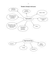 Chemija žmogaus gyvenime. Buityje naudojami valikliai, jų sudėtis, poveikis žmogui 5 puslapis