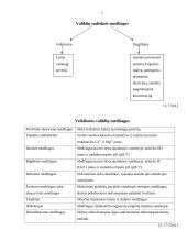 Chemija žmogaus gyvenime. Buityje naudojami valikliai, jų sudėtis, poveikis žmogui 7 puslapis
