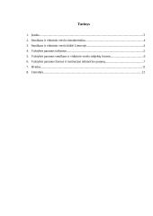 Valstybės paramos verslui formos, jų taikymas