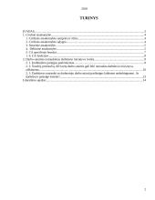 Civilinės atsakomybės kontrolinis darbas 2 puslapis