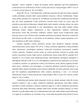 Civilinės atsakomybės kontrolinis darbas 11 puslapis