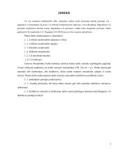 Civilinės atsakomybės kontrolinis darbas 3 puslapis