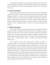 Civilinės atsakomybės kontrolinis darbas 5 puslapis