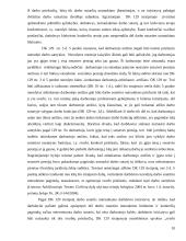 Civilinės atsakomybės kontrolinis darbas 10 puslapis