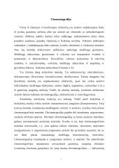 Chromatografija 2 puslapis