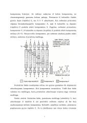Chromatografija 4 puslapis