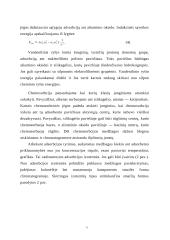 Chromatografija 7 puslapis