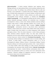 Chromatografijos metodai ir jų plėtojimas toksikologijoje 4 puslapis