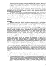 Neofunkcionalizmas 2 puslapis