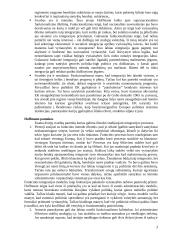 Neofunkcionalizmas 3 puslapis