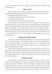 Cukrinių runkelių auginimas 2 puslapis