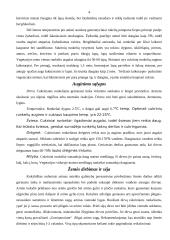 Cukrinių runkelių auginimas 3 puslapis