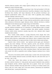 Cukrinių runkelių auginimas 5 puslapis