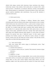 Darbo sutartis bei jos sudarymo tvarka 2 puslapis