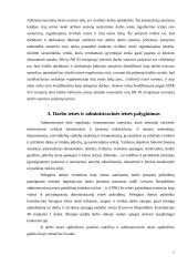 Darbo teisės sąsaja su kitomis teisės šakomis 6 puslapis