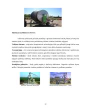 Daržovių drėkinimo būdai ir naudojama technika 11 puslapis