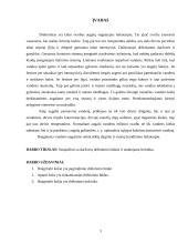 Daržovių drėkinimo būdai ir naudojama technika 2 puslapis