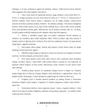 Daržovių drėkinimo būdai ir naudojama technika 4 puslapis