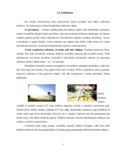 Daržovių drėkinimo būdai ir naudojama technika 6 puslapis