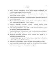 Daugiaterpės žurnalistikos ypatumai šiuolaikinėje žurnalistikoje 12 puslapis