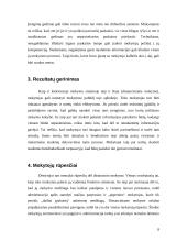 Distancinis mokymas 8 puslapis