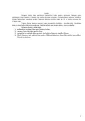 Dniepro baltai 2 puslapis