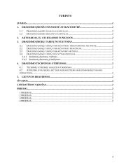 Draudimo įmonės finansai 2 puslapis