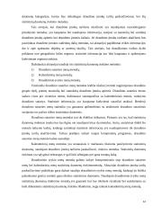 Draudimo įmonės finansai 12 puslapis