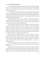 Draudimo įmonės finansai 13 puslapis