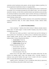 Draudimo įmonės finansai 17 puslapis