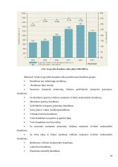 Draudimo įmonės finansai 18 puslapis