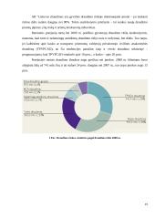 Draudimo įmonės finansai 19 puslapis
