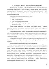 Draudimo įmonės finansai 4 puslapis