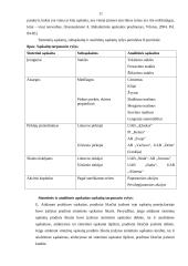 Dvejybinio įrašo atsiradimo apskaitoje reikšmė. Buhalterinės apskaitos sąskaitos 11 puslapis