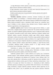 Dvejybinio įrašo atsiradimo apskaitoje reikšmė. Buhalterinės apskaitos sąskaitos 12 puslapis