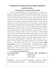 Dvejybinio įrašo atsiradimo apskaitoje reikšmė. Buhalterinės apskaitos sąskaitos 3 puslapis