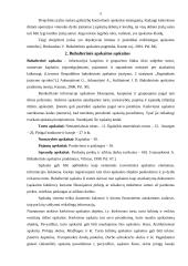 Dvejybinio įrašo atsiradimo apskaitoje reikšmė. Buhalterinės apskaitos sąskaitos 5 puslapis