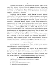 Dvejybinio įrašo atsiradimo apskaitoje reikšmė. Buhalterinės apskaitos sąskaitos 7 puslapis