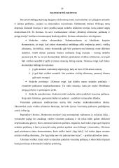 Ekonomikos augimo teorijos 14 puslapis