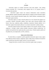 Ekonomikos augimo teorijos 3 puslapis