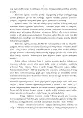 Ekonomikos augimo teorijos 6 puslapis