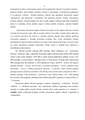 Ekonomikos augimo teorijos 9 puslapis