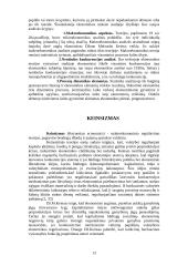 Ekonominės srovės 13 puslapis