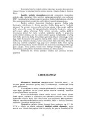 Ekonominės srovės 18 puslapis