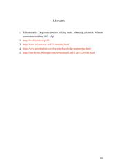 Ekspertinės sistemos ir žinių bazės 16 puslapis