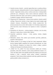 Ekspertinės sistemos ir žinių bazės 7 puslapis