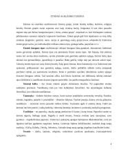 Etninis auklėjimas, praeities ryšys su dabartimi (šiuolaikinis požiūris) 4 puslapis