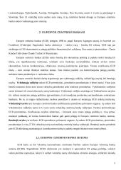 Europos monetarinė politika ir euro įvedimas Lietuvoje 5 puslapis